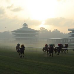 fraîcheur information presse décalage course hippique
