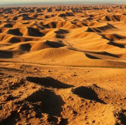 profil terrain impact performance chevaux courses